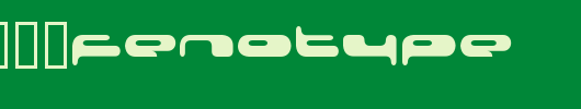 08-02-03-Fenotype_英文字体