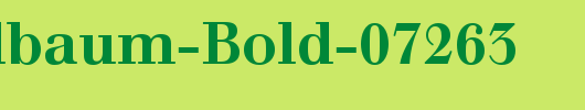 12-Walbaum-Bold-07263_英文字体