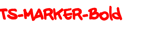 20-CENTS-MARKER-Bold_英文字体