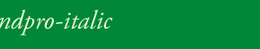 AGaramondPro-Italic.otf