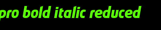 Absolut-Pro-Bold-Italic-reduced