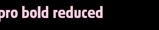 Absolut-Pro-Bold-reduced