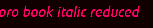 Absolut-Pro-Book-Italic-reduced
