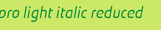 Absolut-Pro-Light-Italic-reduced