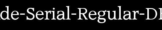 Accolade-Serial-Regular-DB_英文字体
