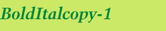 Activa-BoldItalcopy-1_英文字体