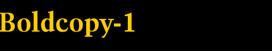 Activa-Boldcopy-1_英文字体