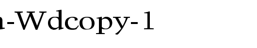 Activa-Wdcopy-1_英文字体