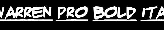 Adam-Warren-pro-Bold-Italic
