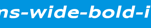 Adams-Wide-Bold-Italic.ttf