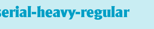 AdelonSerial-Heavy-Regular.ttf
