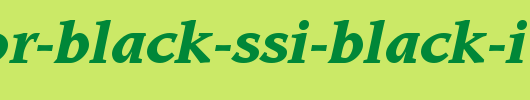 Advisor-Black-SSi-Black-Italic.ttf