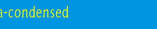 AidaSerifa-Condensed.ttf