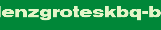 AkzidenzGroteskBQ-BoldExt.otf