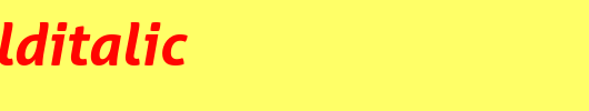 AllerBoldItalic.ttf