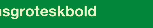 AlteHaasGroteskBold.ttf