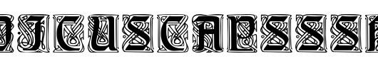 AmedicusCapsSSK.ttf