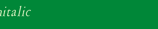 AmeryThinItalic.ttf