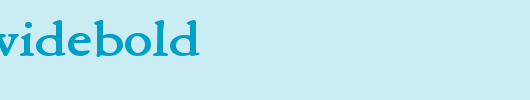 AmeryWideBold.ttf