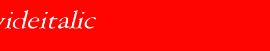 AmeryWideItalic.ttf