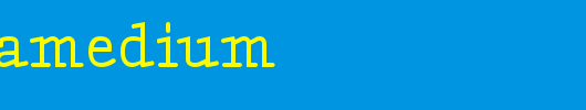 AmintaMedium.ttf
