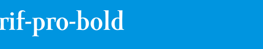 Amor-Serif-Pro-Bold.otf