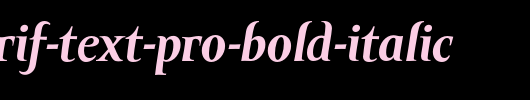 Amor-Serif-Text-Pro-Bold-Italic.otf