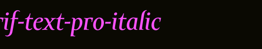 Amor-Serif-Text-Pro-Italic.otf