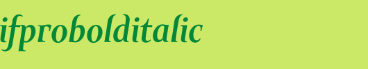 AmorSerifProBoldItalic.otf