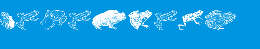 AmphibiPrint.ttf