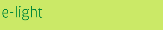 Amplitude-Light_英文字体