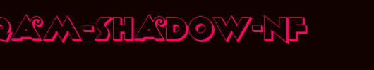 Anagram-Shadow-NF.ttf