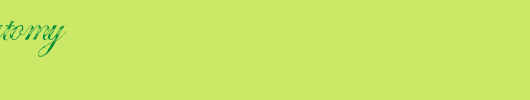AntatomyAntatomy.ttf