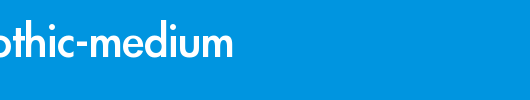 Apple-LiGothic-Medium.TTF