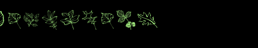 ArborisFolium