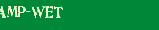 Artistamp-Wet.TTF