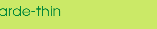 AvantGarde-Thin.ttf