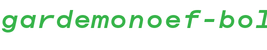 AvantGardeMonoEF-BoldIta.otf
