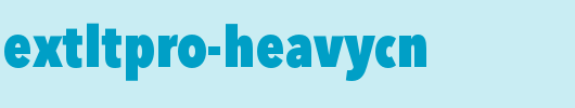 AvenirNextLTPro-HeavyCn.otf
