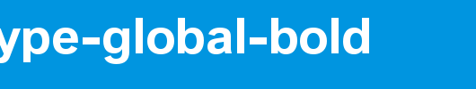 BMW-Type-Global-Bold.ttf