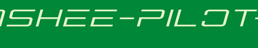 Banshee-Pilot-Expanded-Italic.ttf