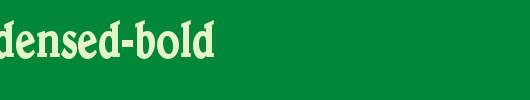 Blew-Condensed-Bold.ttf