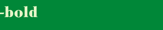 Bodoni-Bold.TTF