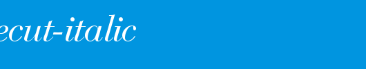 BodoniRecut-Italic.ttf
