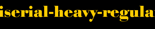 BodoniSerial-Heavy-Regular.ttf