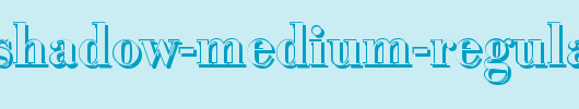 BodoniShadow-Medium-Regular.ttf