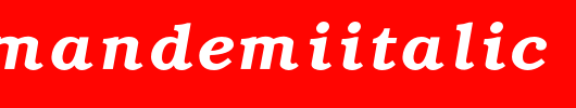 BookmanDemiItalic.otf