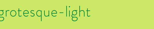 BrandonGrotesque-Light.otf