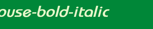 Brookhouse-Bold-Italic.ttf