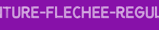 CF-Ceinture-Flechee-Regular.ttf